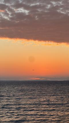 ありがとうございました😖💕
