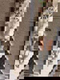 また遊んでほしいな(´∀`)