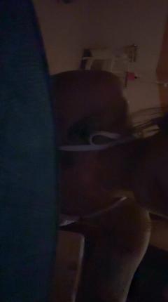 ありがとう(*´꒳`*)