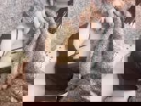 ありがとうございました！！