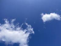 お礼日記です！