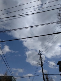 宮崎ちゃんこ都城店 都城市デリヘル さよ 写メ日記「………晴れてる………」