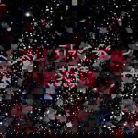 ブリスベンズのお兄様！