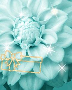 Midnight.Paradise〜真夜中の楽園〜　綾♡あや