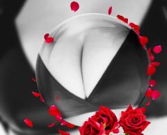 鶴富屋敷 宮崎市ソープ ヒナ、(癒しの女王) 写メ日記「お待ちしております🍀」