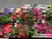 大人の遊園痴「スピーディー」 宮崎市デリヘル りつ（敏感で癒し系） 写メ日記「フランスのリピーター様」