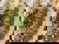 大人の遊園痴「スピーディー」(宮崎市) りつ（敏感で癒し系）