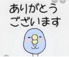 ?スカイ5の103のお兄さん?