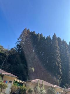 ポカポカ( *´?｀*)