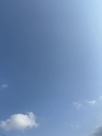 本日出勤会いに来てください