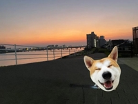 最近嬉しかったこと