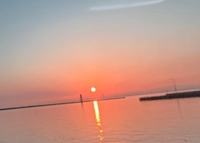 めちゃ遅めの…