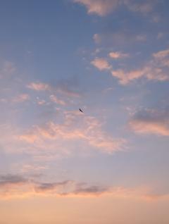 こんにちは😊🎶