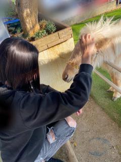 Relaxation spa with (リラクゼーションスパウィズ) すみれ～Sumire～