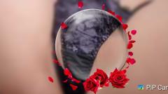 今日と言う日に感謝を込めて♡