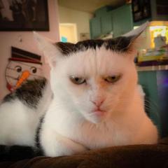 こんにちは(?????▽?????)