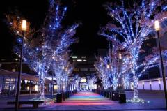 こんばんは〜🌃