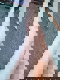 ありがとうございました！！