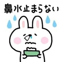 お早う御座います