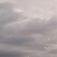 本日も出勤します。