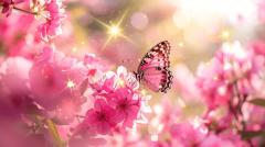 Midnight.Paradise〜真夜中の楽園〜　綾♡あや