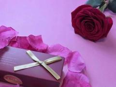 おはようございます?