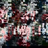 次回確定分です