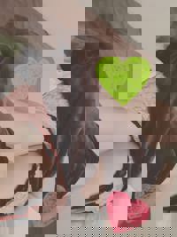 しゅっきーん！