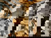 ありがとうございます！