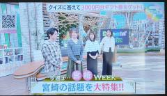 今アツい🌴宮崎ウィーク