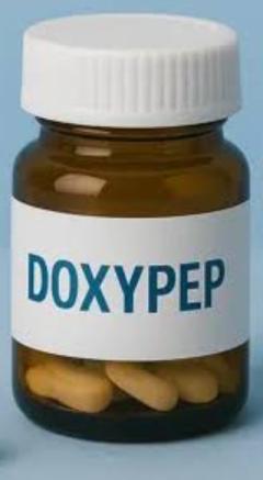 鶴富屋敷 ヒナ、(癒しの女王)