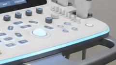 鶴富屋敷 ヒナ、(癒しの女王)