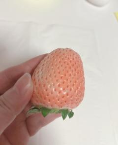 爆安＜元祖＞どすこい倶楽部(宮崎市) ★体験まゆ★宮崎店