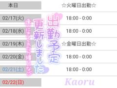 ☆.今週の出勤予定