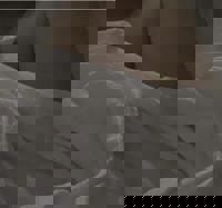 今週も出勤してます