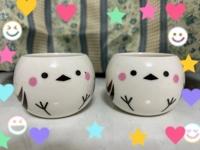 【口コミお礼写メ日記】