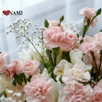 TheGrandPhoenix　みなみ※おもてなし最高