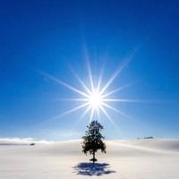 おはようございます