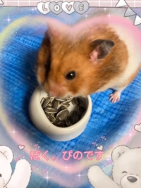 愛するぴのくん…笑ってるかな？