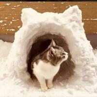 この子、可愛いな