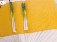 澪夏の脚はどーれだ