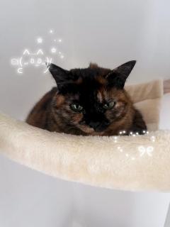 モチベーション維持