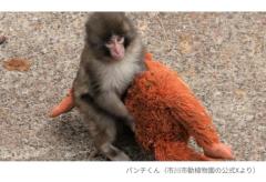 人妻ｒｅ：スタート 宮本まゆみ【宮崎体験】