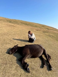 20日キャンセル出ました