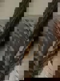 宮崎ちゃんこ中央通店　