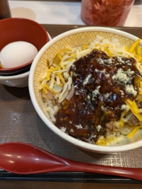 デミチー牛丼ぶりというもの…