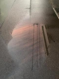 おめでとうございます?