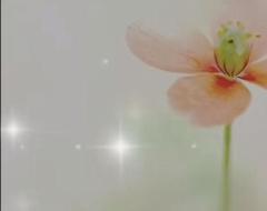 鹿児島ちゃんこ薩摩川内店(薩摩川内市) はるな