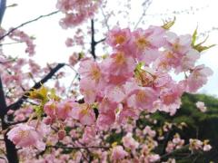 2月19日　1人目のお客様