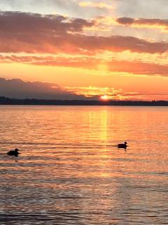 Midnight.Paradise〜真夜中の楽園〜　華♥はな